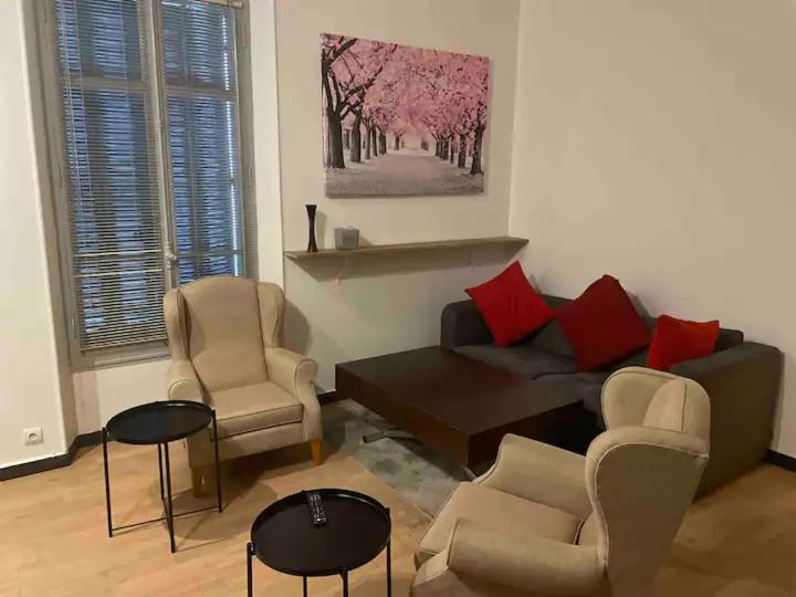 Appartement Cannes Centre - Palais Du Festival 外观 照片